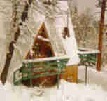 Cozy Bear Cabin in the Winter in Big Bear, CA
