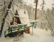 Outside view of cozybear big bear 
			cabin in winter