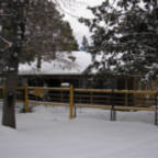 Sugarbearden big bear Cabin in woodsy Sugarloaf