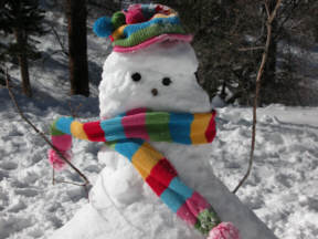 Thewoods has plenty of space to build a snowman