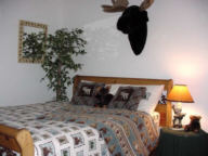 2nd big bear bedroom